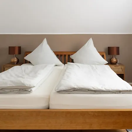 Design 'eiche' Auf Dem Bodanrueck *