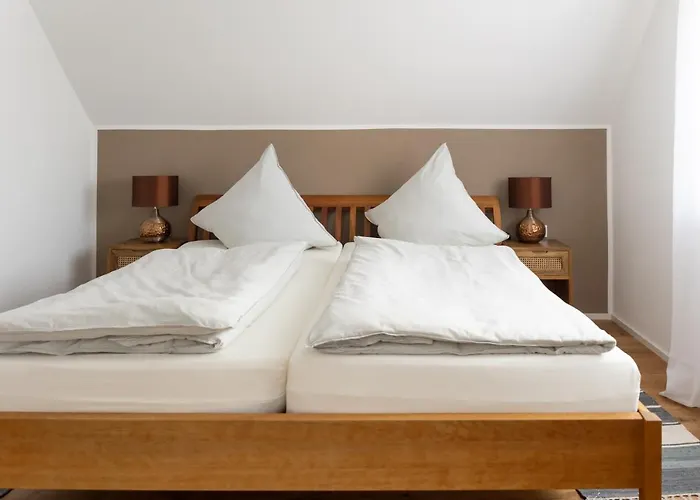 Design 'eiche' Auf Dem Bodanrueck *